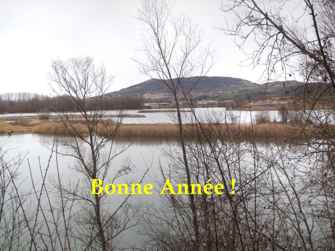Bonne année de Ceyrat Boisséjour Nature en randonnée vers Pérignat es Allier