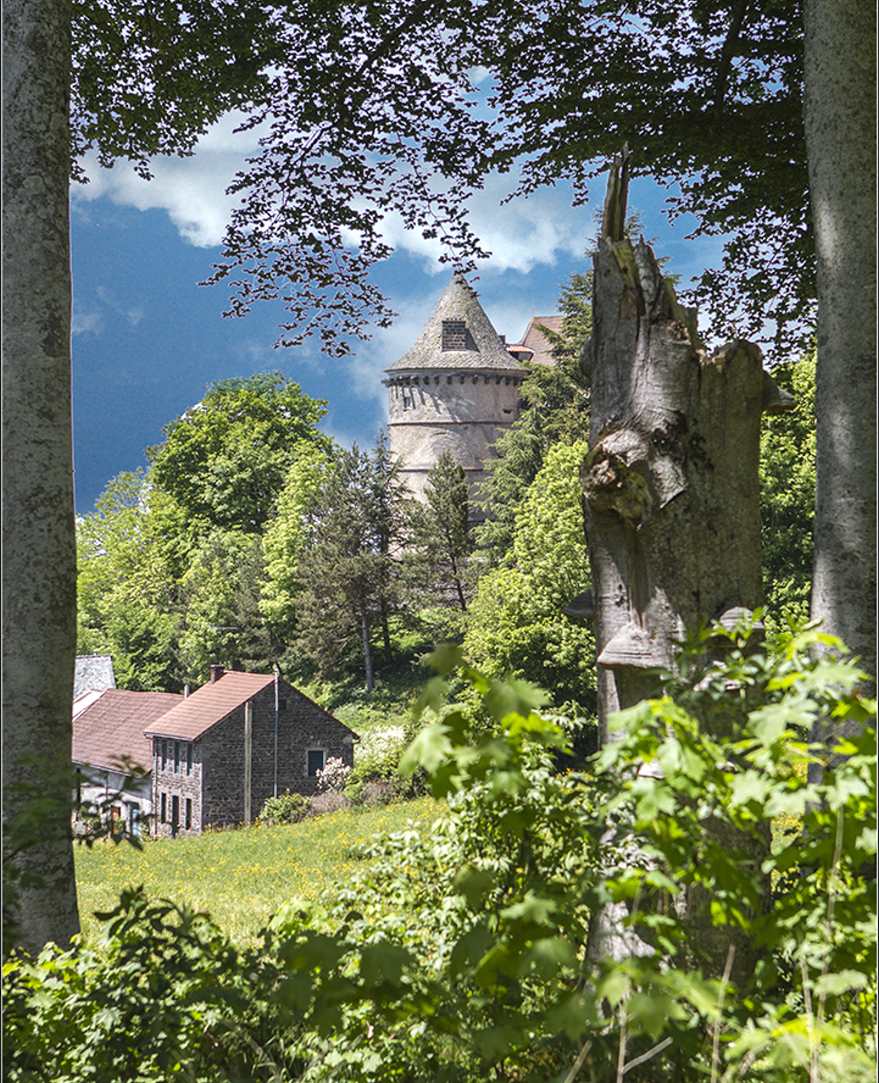 le château d'Allagnat (28 mai 2015)