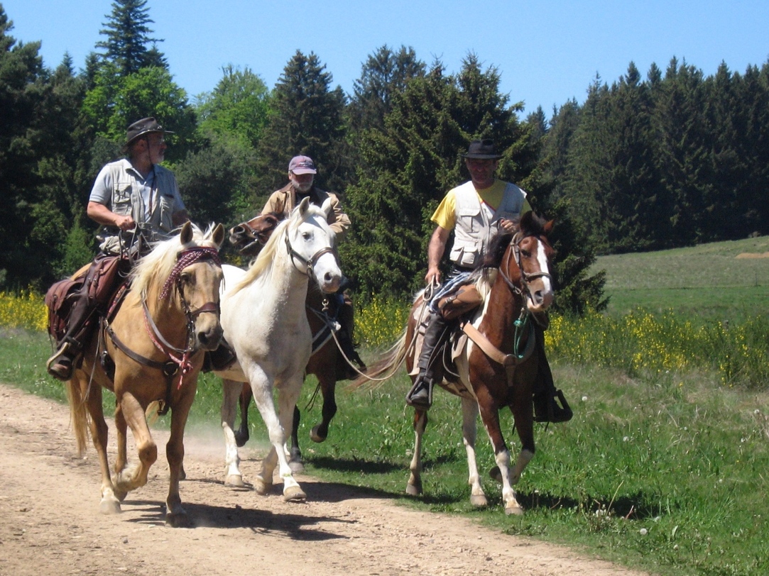 Chevaux et cavaliers près de St Genès Champanelle (25 mai 2017)