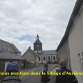 25_05_08_05_jfg_aurieres