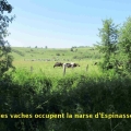25_06_19_12_mab_espinasse