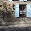25_03_05_03_cm_stfloret