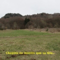 25_03_20_09_mab_fontetes