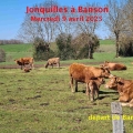 25_04_09_01_jfg_banson