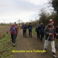 25_11_19_29_mft_tallende