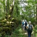 26_06_10_17_cm_mareugheol