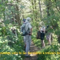 26_06_17_60_cp_ouire_longue-descente-dans-le-bois