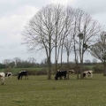 26_04_01_46_mft_stgermainlembron