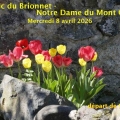 26_04_08_01_mft_brionnet