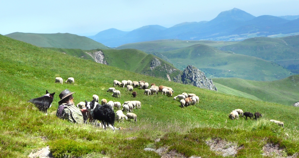 Ceyrat Boisséjour Nature, rencontre lors d'une randonnée.