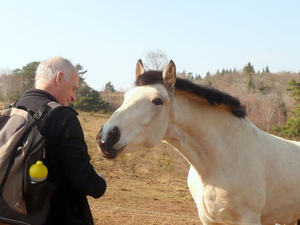 Randonnées avec Ceyrat Boisséjour Natrure