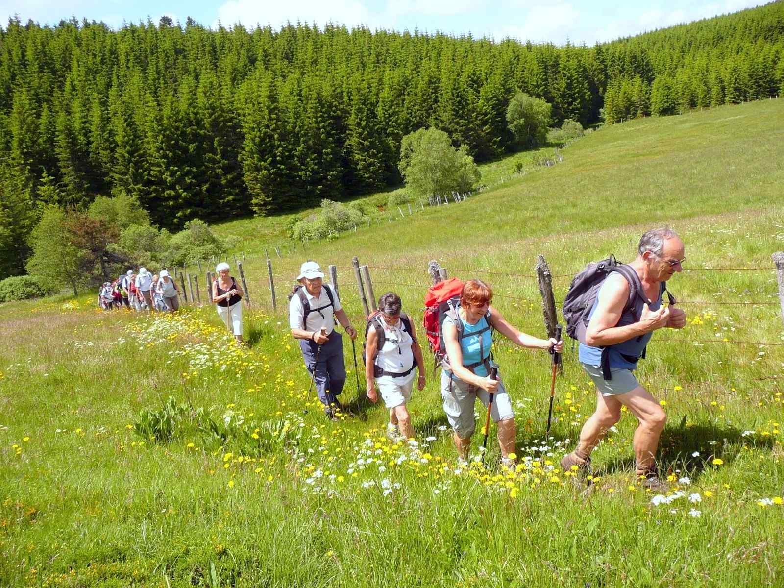Randonnée avec Ceyrat Boisséjour Nature