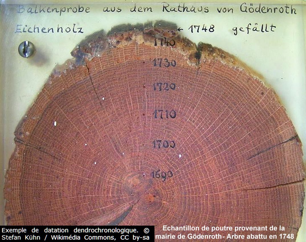 l’épaisseur de chaque anneau permet de remonter le temps