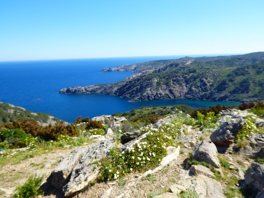 de magnifiques paysages en plongée, la mer au fond (sejour avril 2017)