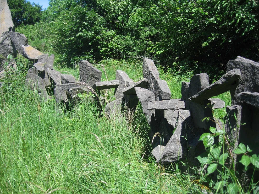 la verdure qui parfois les dissimule et les enveloppe