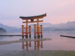 le torii de l'ile de Miyajima