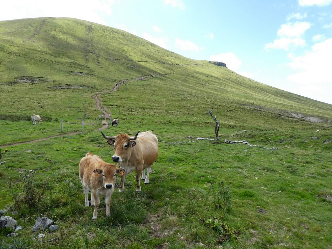 « Pink Borders », Marco Barotti (Horizons-Sancy 2017)