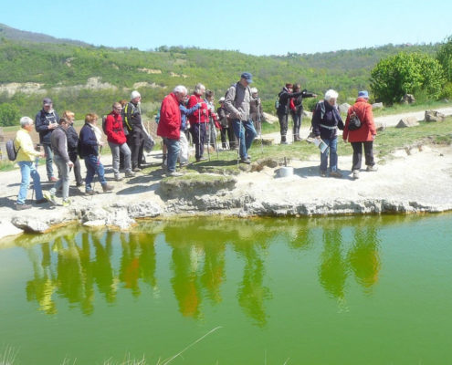 les sources du Grand et Petit Saladis